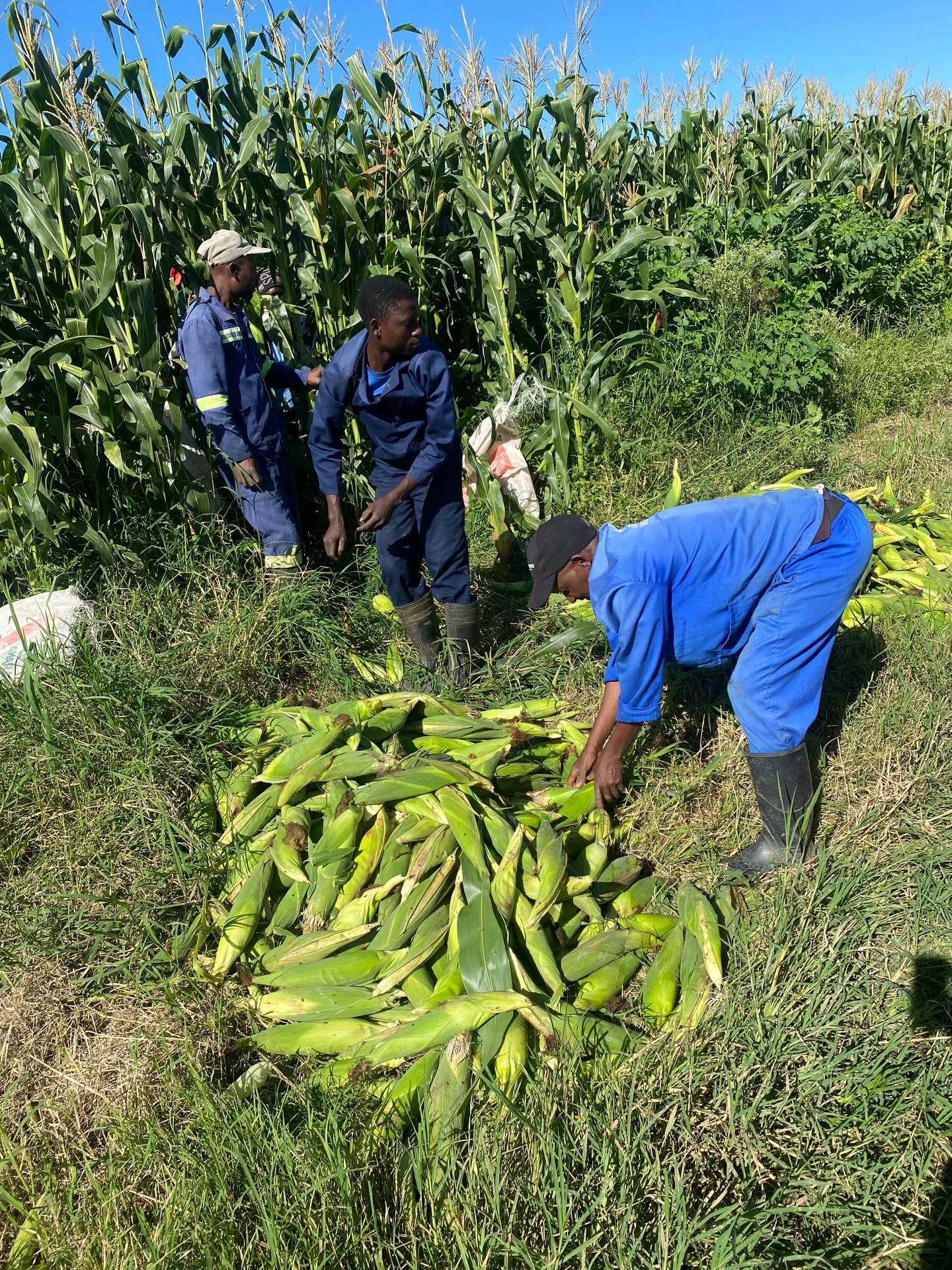 Agricultural Training